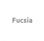 Fucsia snc